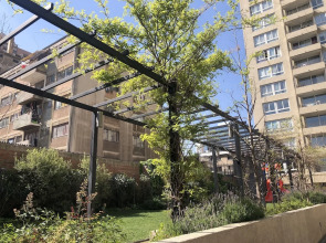 Bello depto Catedral 2