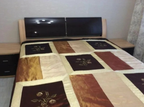 Alatyr Omsk, st. Maslennikova, 45