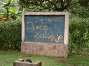 Quinta Teca at Opera Salvaje