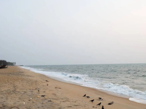 Kuzhuppilly Beach House