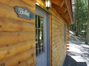 Hollies Lodge