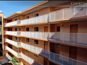 Beach Palms 402
