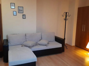 Studio Villa Park 410