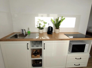 Attic studio Cathouse shared