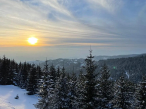 Zlatna Kruna - Lux Apartments Kopaonik