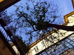 Locanda San Marco Residenza Caluri