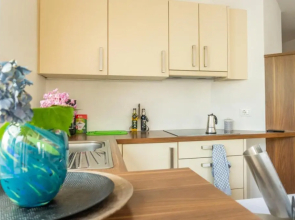 Ferienwohnung mit sehr großer sonnenverwöhnten Terrasse