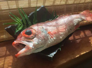Sekkaso