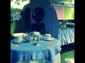 Follow The White Wabbit