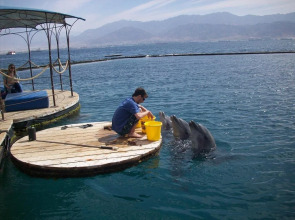 Sun and View Guest House