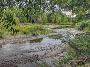 Cozy Angler's Apt - Steps to Trout Fishing River!