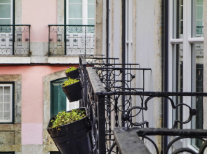 Residentas Apostolos