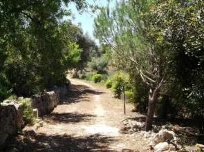 Monte Do Rio