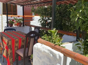 Las Palmeras Eco Hostel