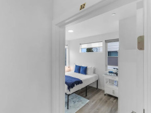 Dreamfyre's Ancient Dragon Horn Suite