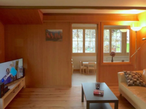 Apartment Lucie Adelboden 11845