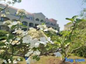 Suzhou Seagull Huxin Island Resort