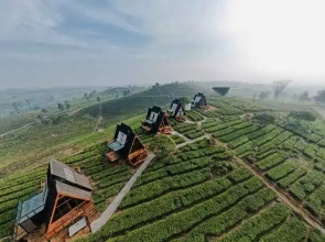 Nimo Tea Resort