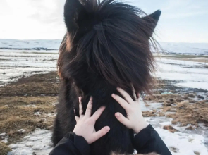 Miðhvammur Farm Stay