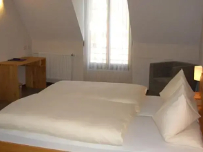 Karpfenhotel im Gasthaus Sindel-Buckel