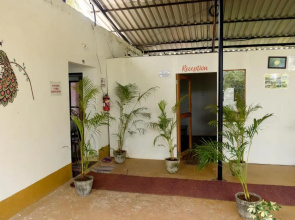Seagull Tourist Guest House