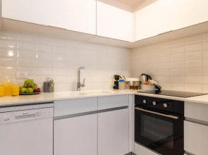 Luxury One-Bedroom Apartment/parking in city center