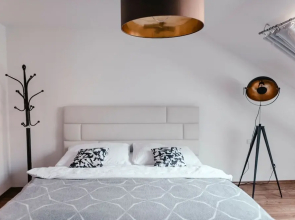 Apartments Zelny Trh II