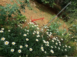 Ruzica - 50 m From sea - A1 Mali