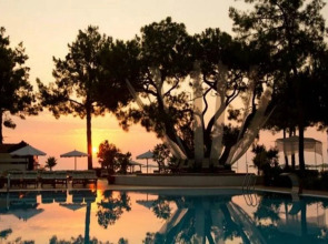 Robinson Camyuva - Adults only