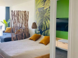 Studio tropical, beautifully renovated, sea view