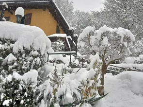 Casa Amici Del Bosco
