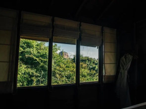 Sigiriya King's Resort