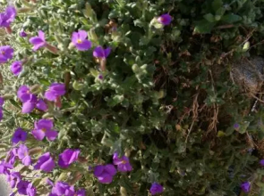 Suite familiale de charme en Provence