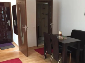 Xenopol Central Apartment