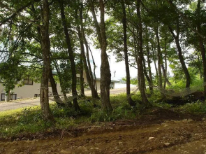 Culvilla Itoshiro