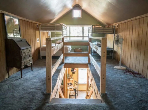 Jackass Hostel