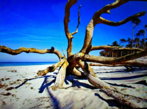 Quartier4u - Villa Arielle