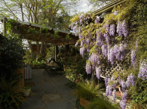 Rosebank Bed and Breakfast