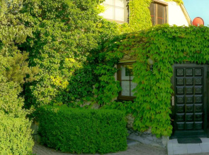 Biburg86420
