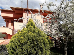 Notti Rosa B&B