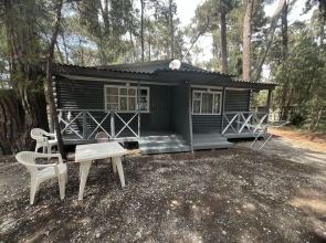 Gosdacha Ldzaa