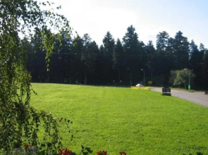 Schumacher Waldcaf