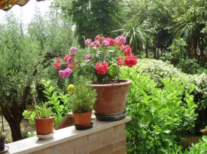 B&B Le Palme