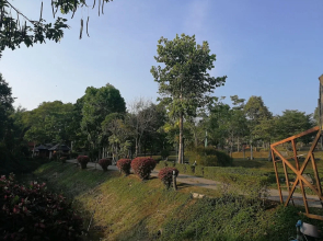 Ban Suan Nern Tawan