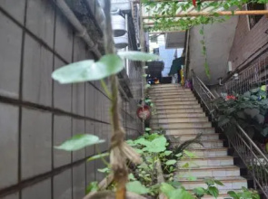 Zhu Yin Youth Hostel