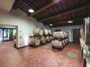 Vigna Home Amazing Site Chianti Classico