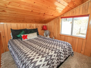 Always Beary Christmas