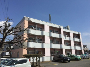 Backpackers DORMS MIWA - Hostel
