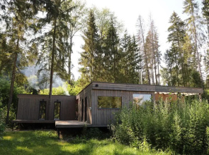 Fabulous chalet in a coniferous forest
