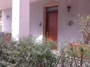 La Pineta